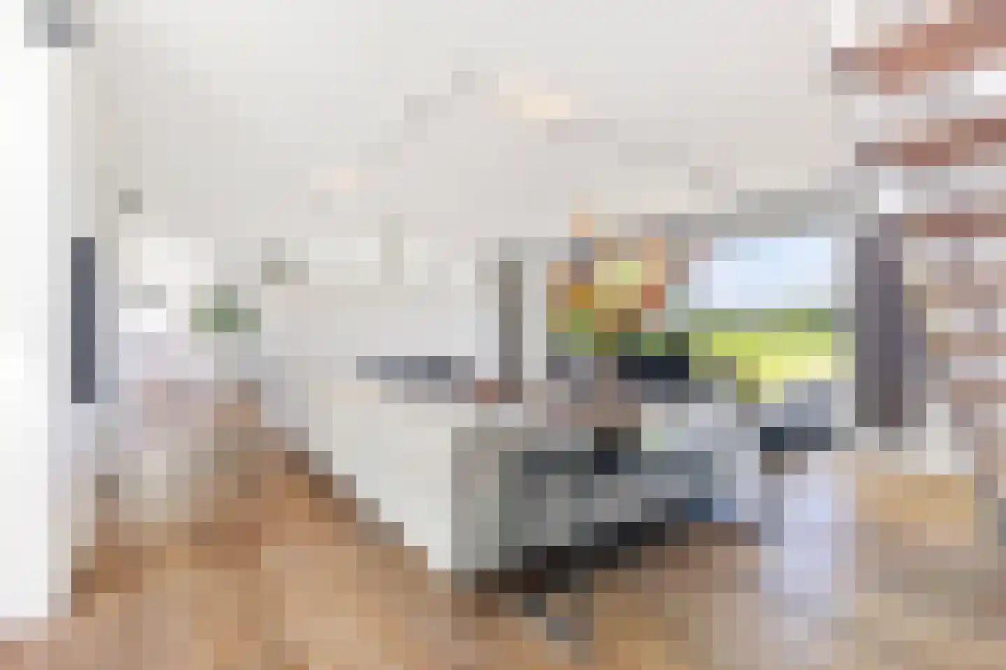 Muggenburgerweg 9 Haringhuizen thumbnail 10