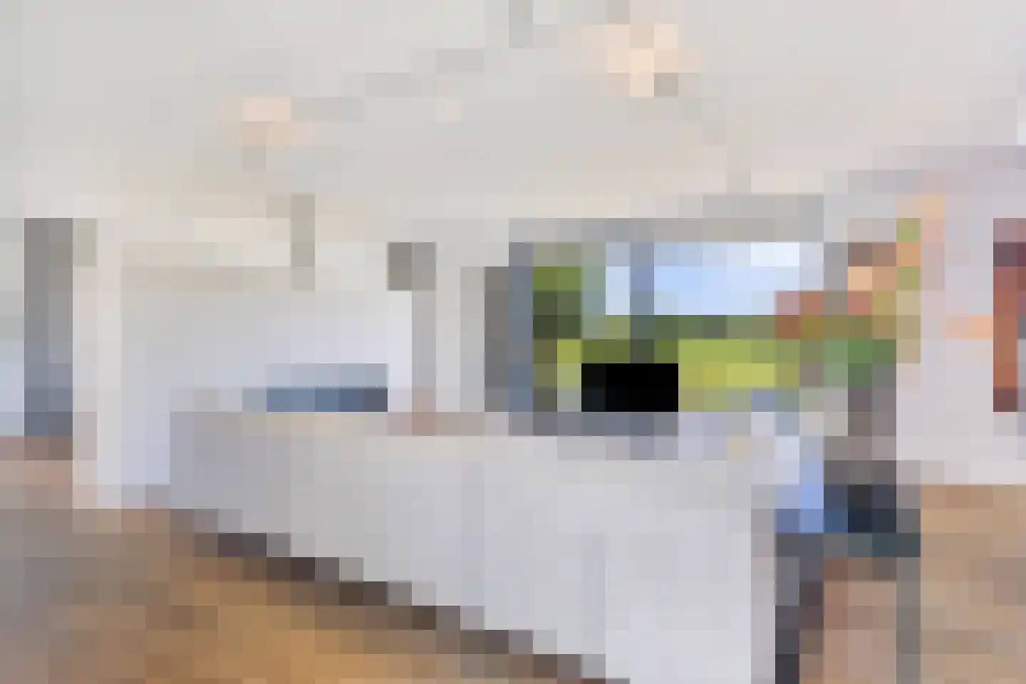 Muggenburgerweg 9 Haringhuizen thumbnail 11
