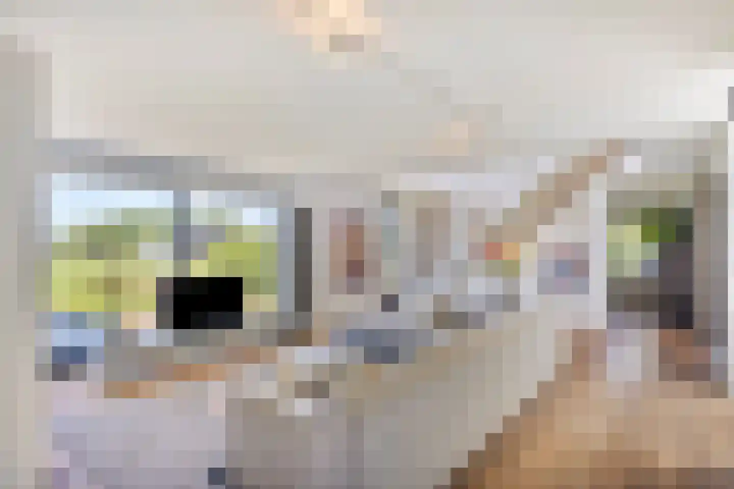 Muggenburgerweg 9 Haringhuizen thumbnail 12