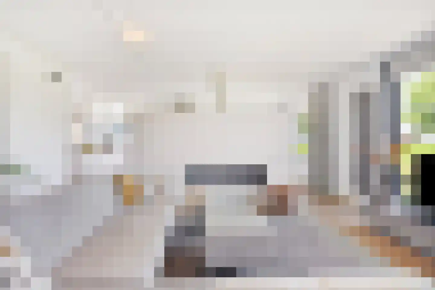 Muggenburgerweg 9 Haringhuizen thumbnail 15
