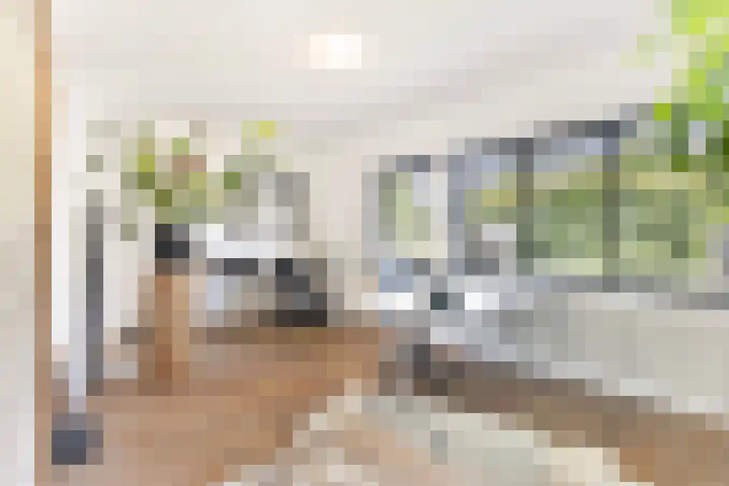 Muggenburgerweg 9 Haringhuizen thumbnail 17