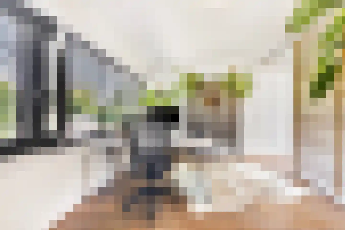 Muggenburgerweg 9 Haringhuizen thumbnail 18