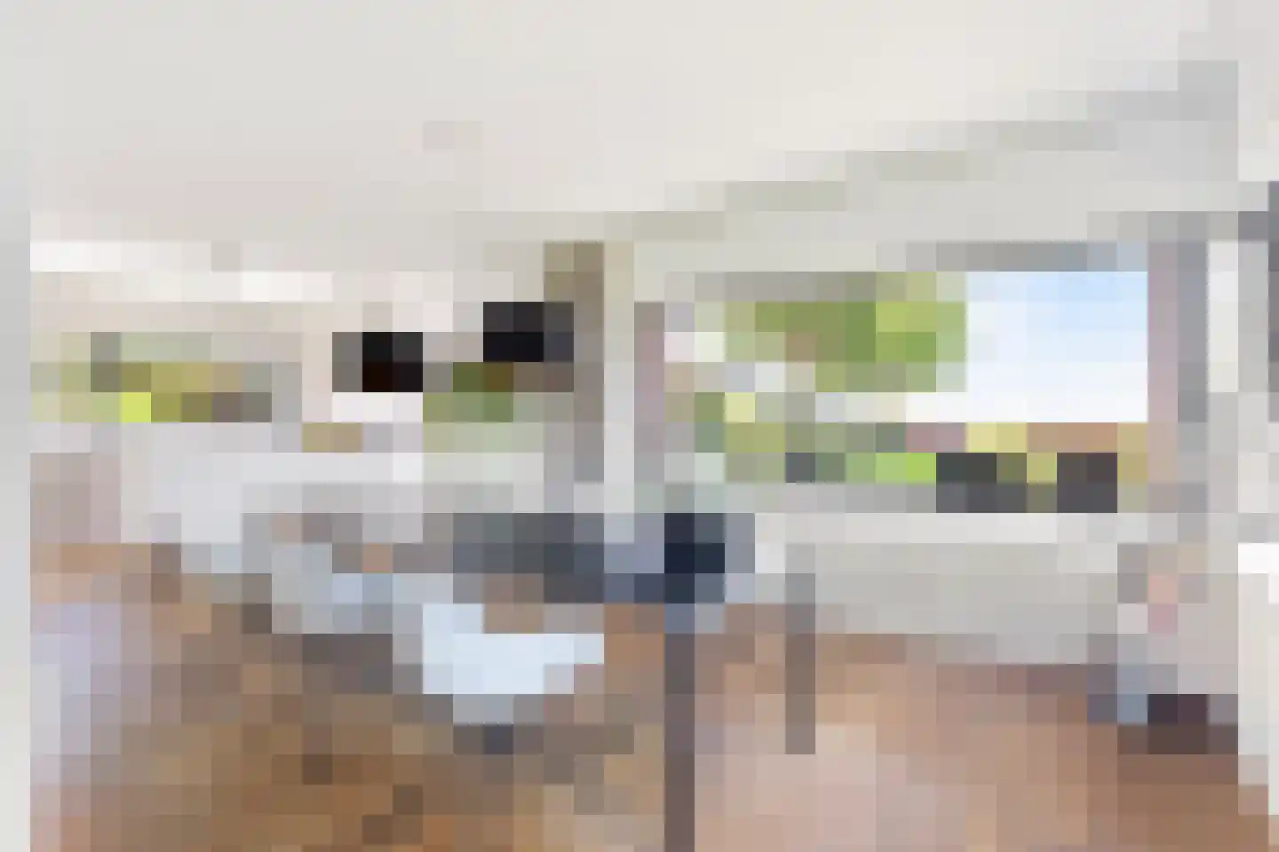 Muggenburgerweg 9 Haringhuizen thumbnail 19