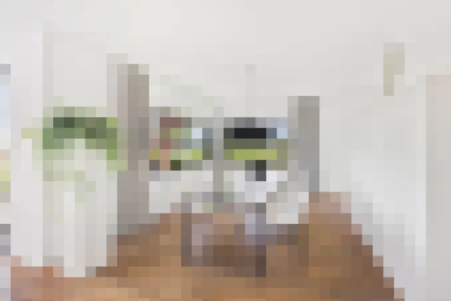 Muggenburgerweg 9 Haringhuizen thumbnail 20