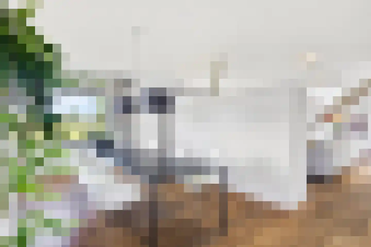 Muggenburgerweg 9 Haringhuizen thumbnail 22