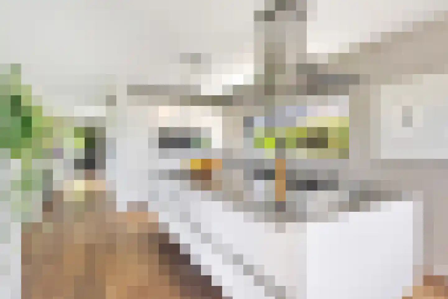 Muggenburgerweg 9 Haringhuizen thumbnail 25