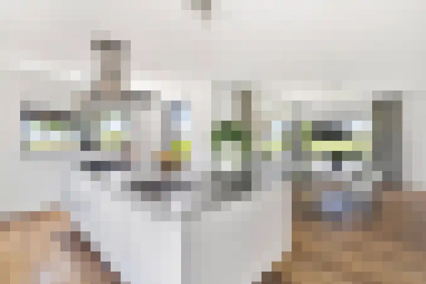 Muggenburgerweg 9 Haringhuizen thumbnail 29