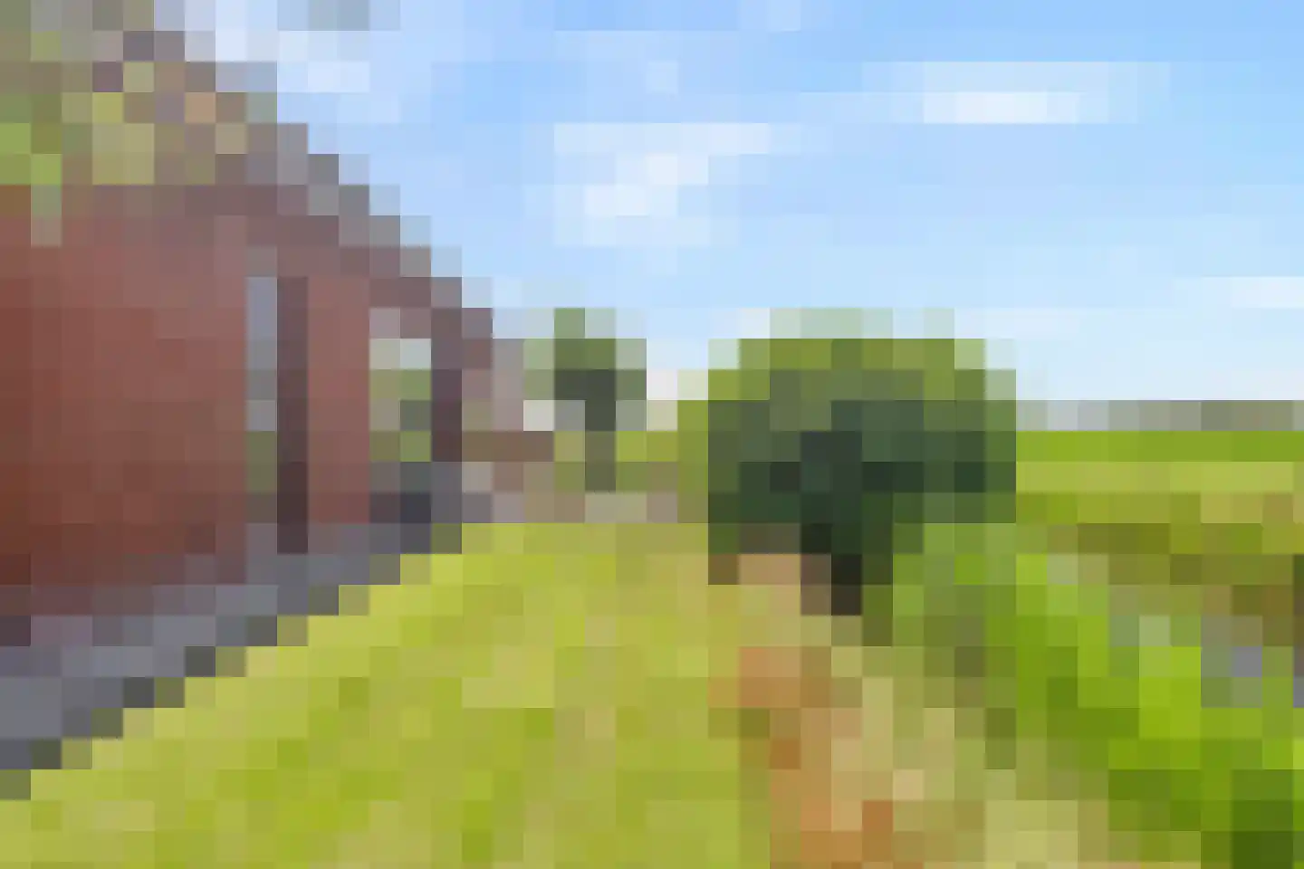Muggenburgerweg 9 Haringhuizen thumbnail 39