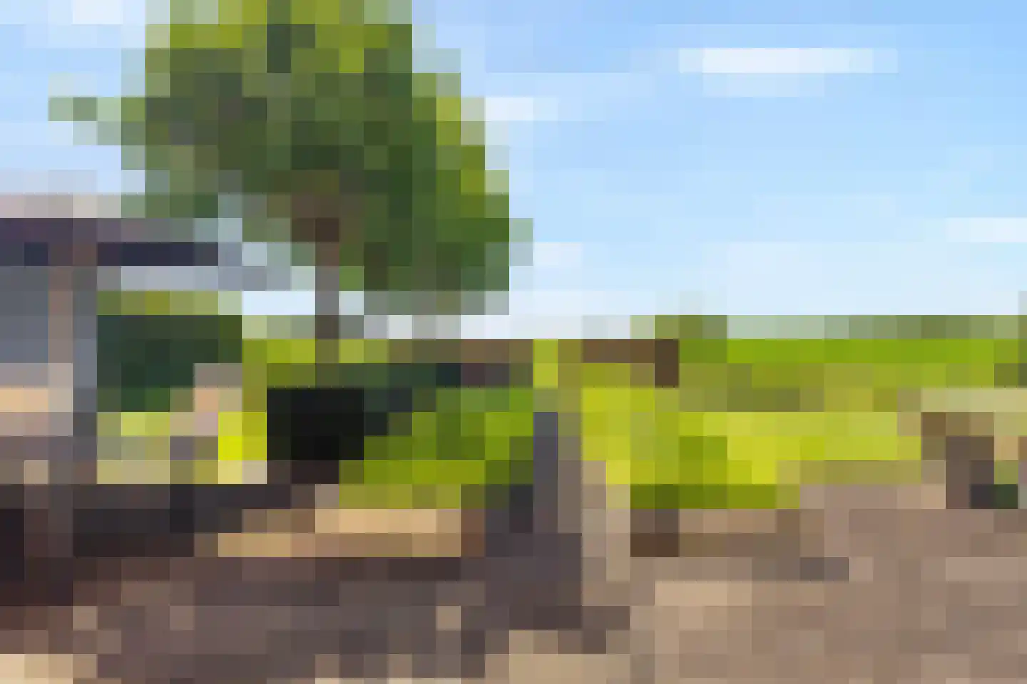 Muggenburgerweg 9 Haringhuizen thumbnail 41