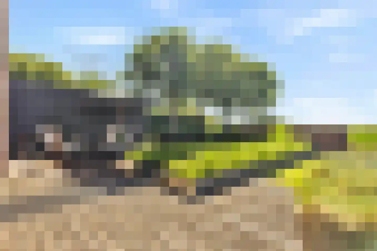 Muggenburgerweg 9 Haringhuizen thumbnail 42