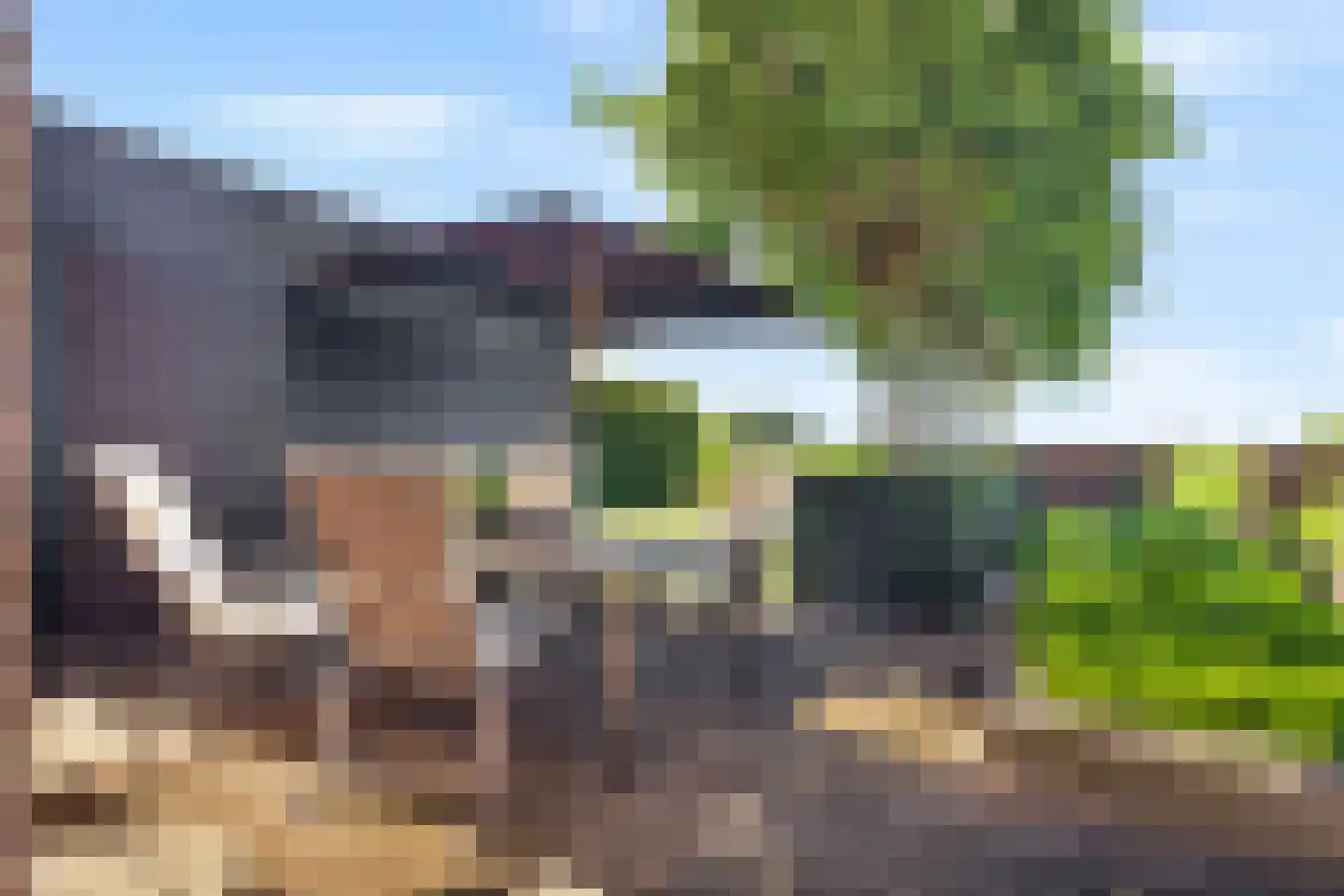 Muggenburgerweg 9 Haringhuizen thumbnail 43