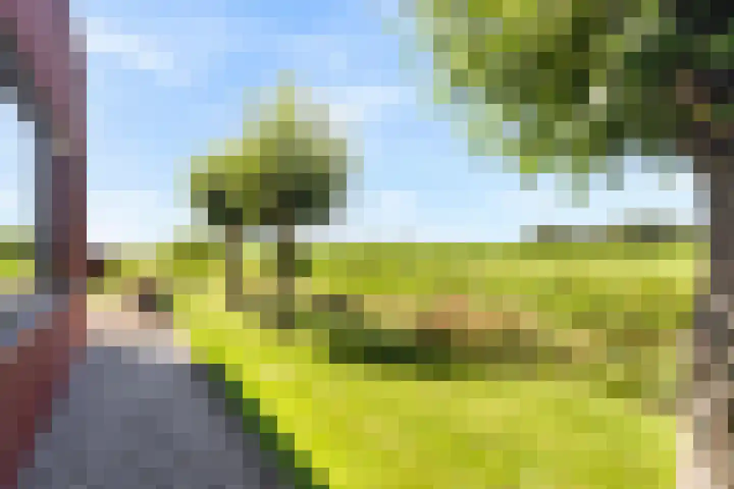 Muggenburgerweg 9 Haringhuizen thumbnail 45