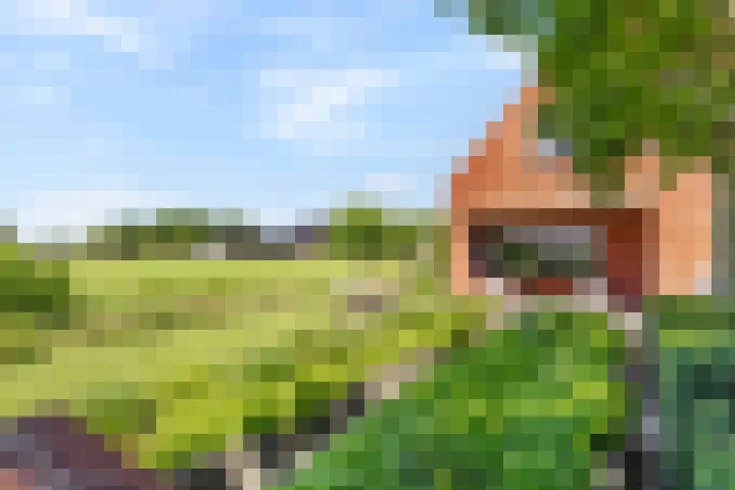 Muggenburgerweg 9 Haringhuizen thumbnail 47