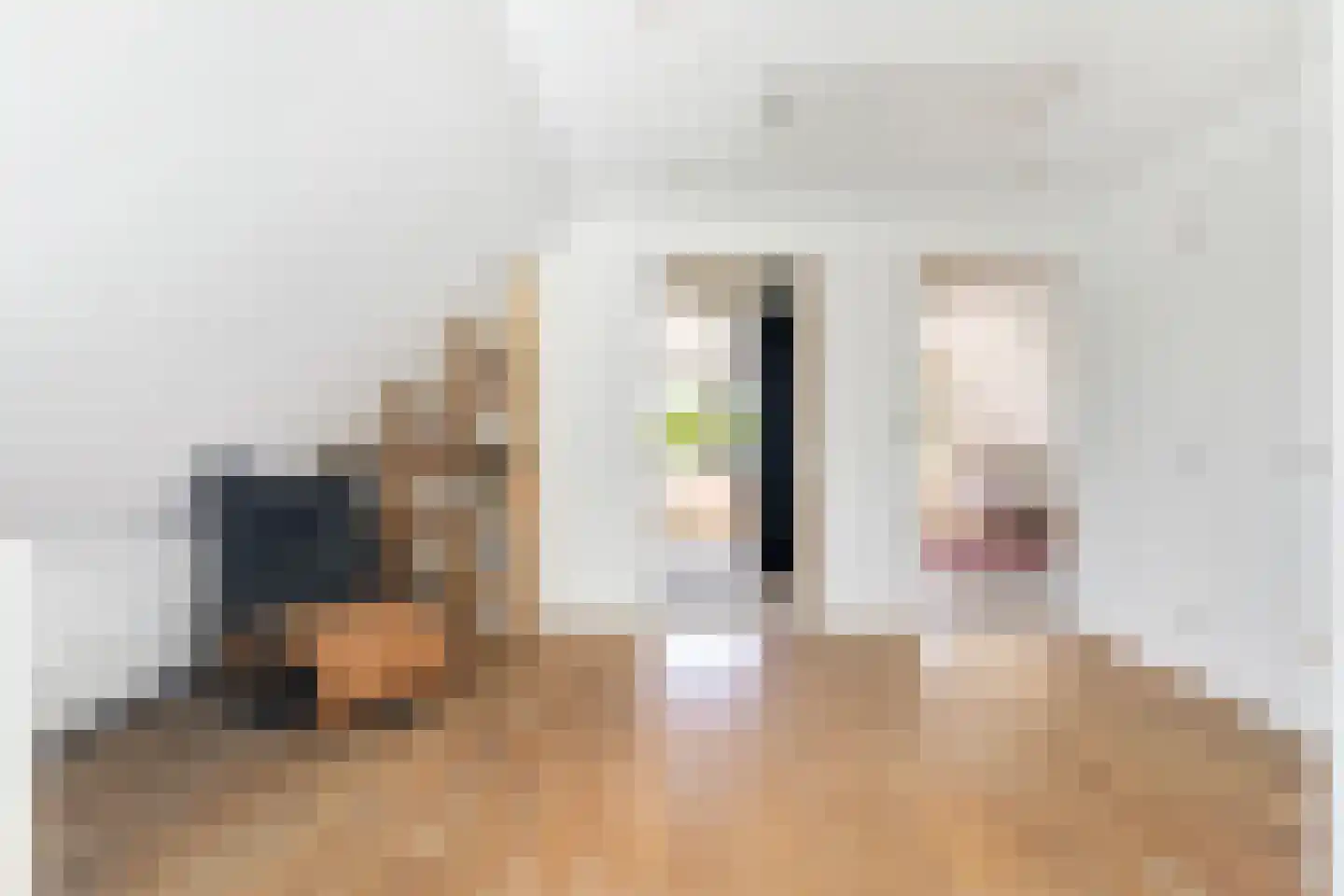 Muggenburgerweg 9 Haringhuizen thumbnail 52