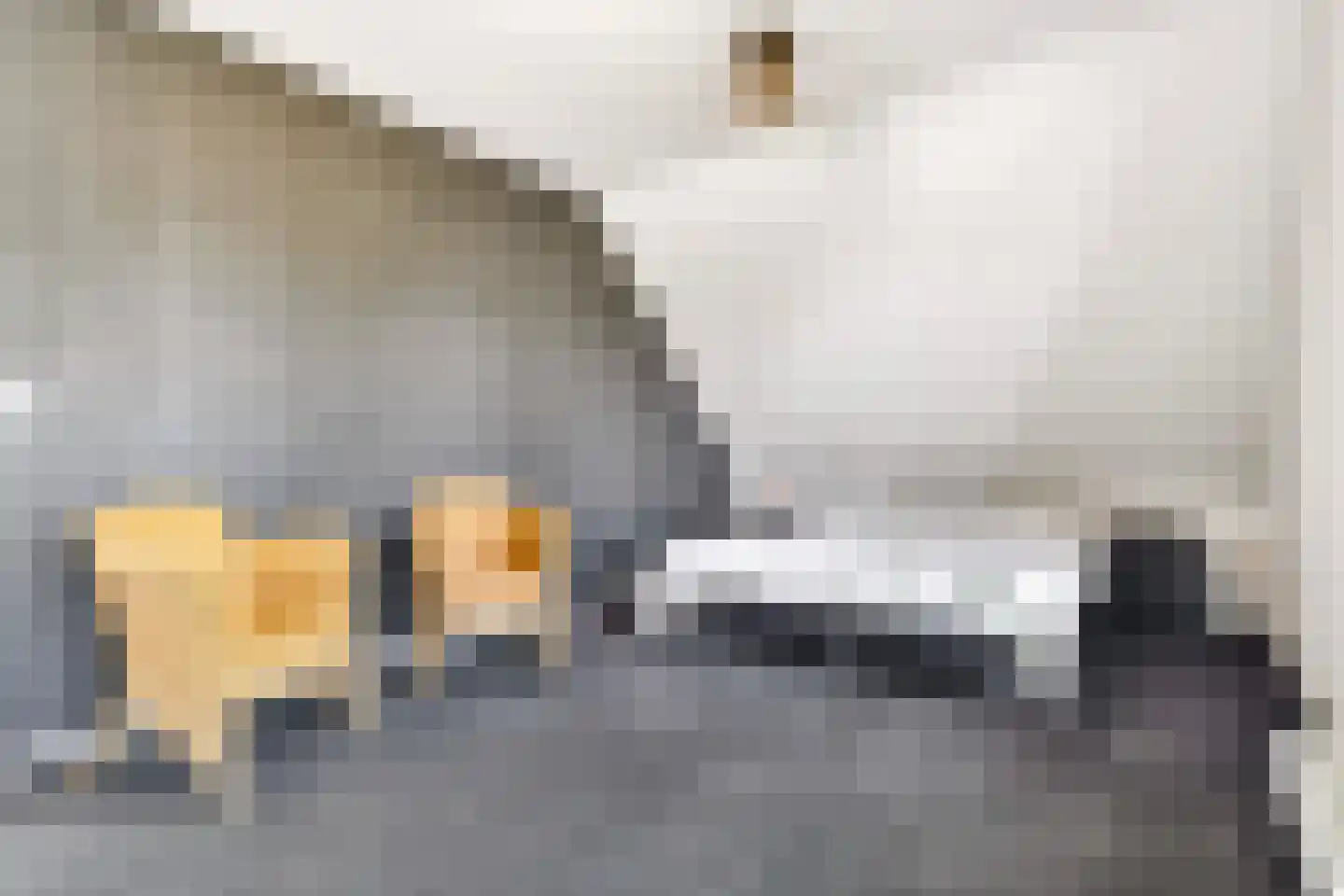 Muggenburgerweg 9 Haringhuizen thumbnail 54