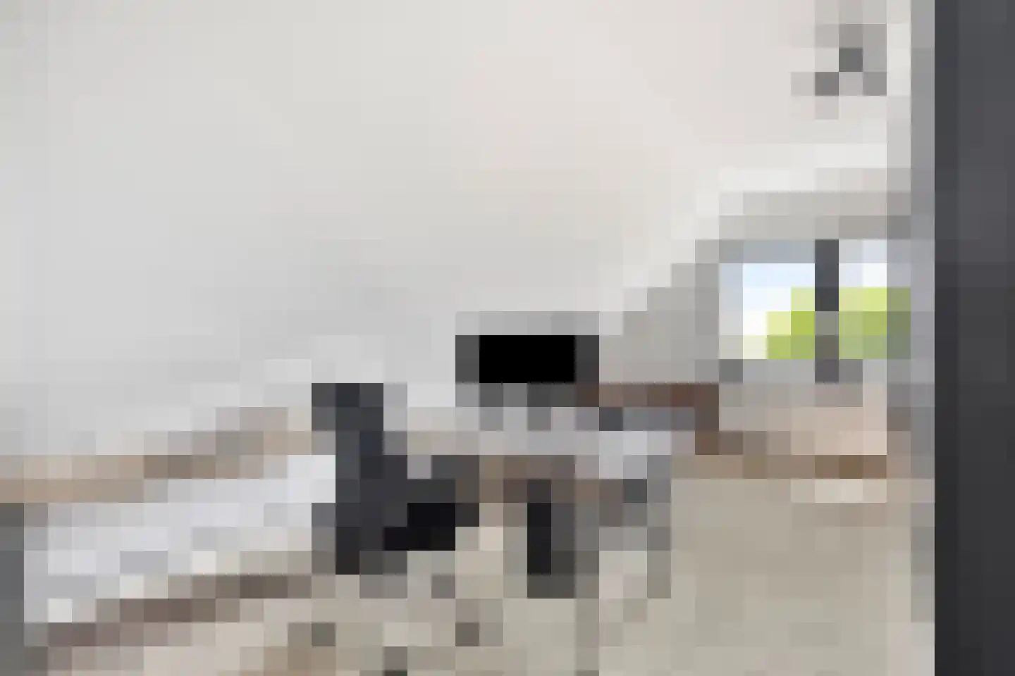 Muggenburgerweg 9 Haringhuizen thumbnail 56