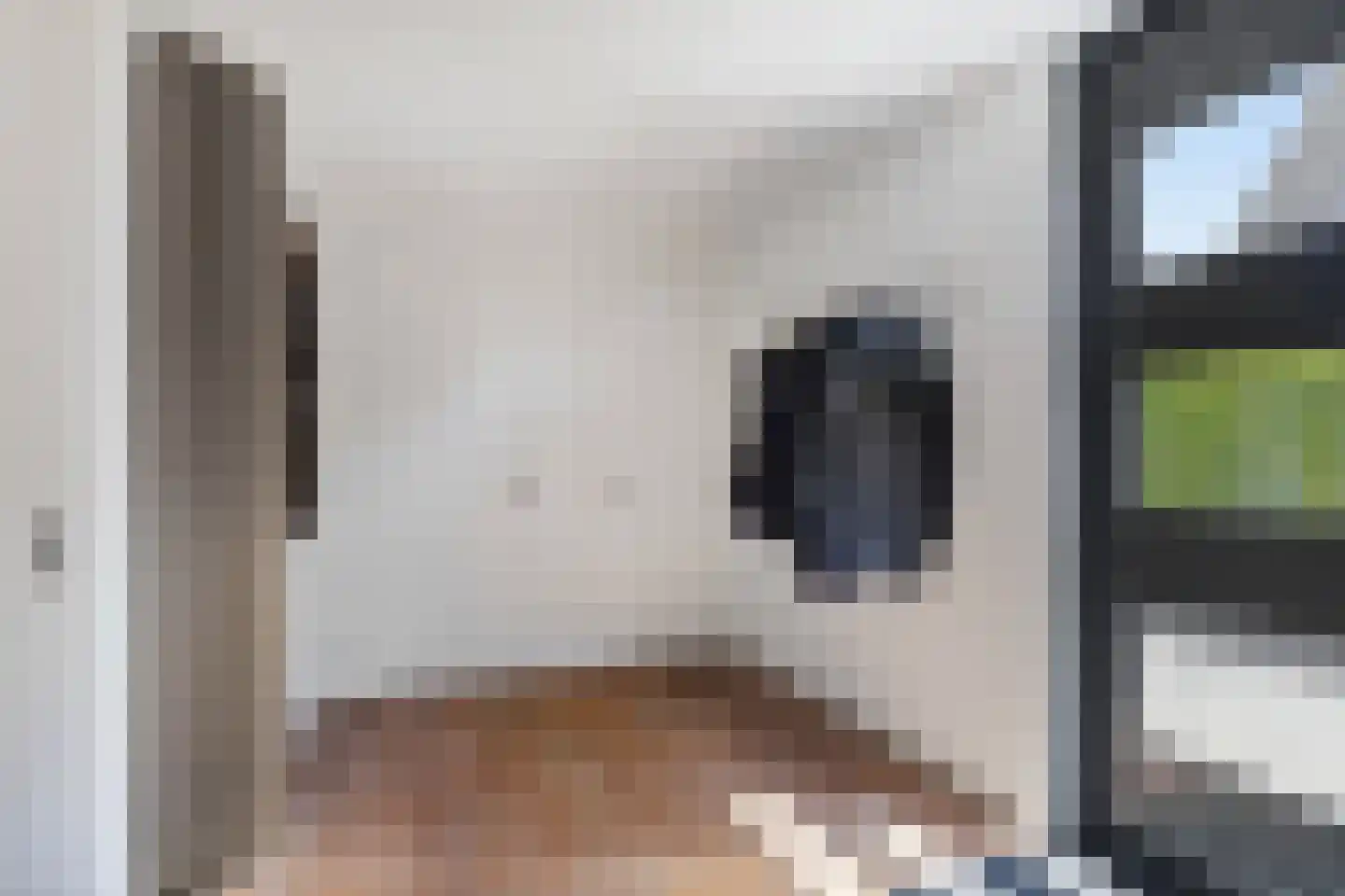 Muggenburgerweg 9 Haringhuizen thumbnail 6