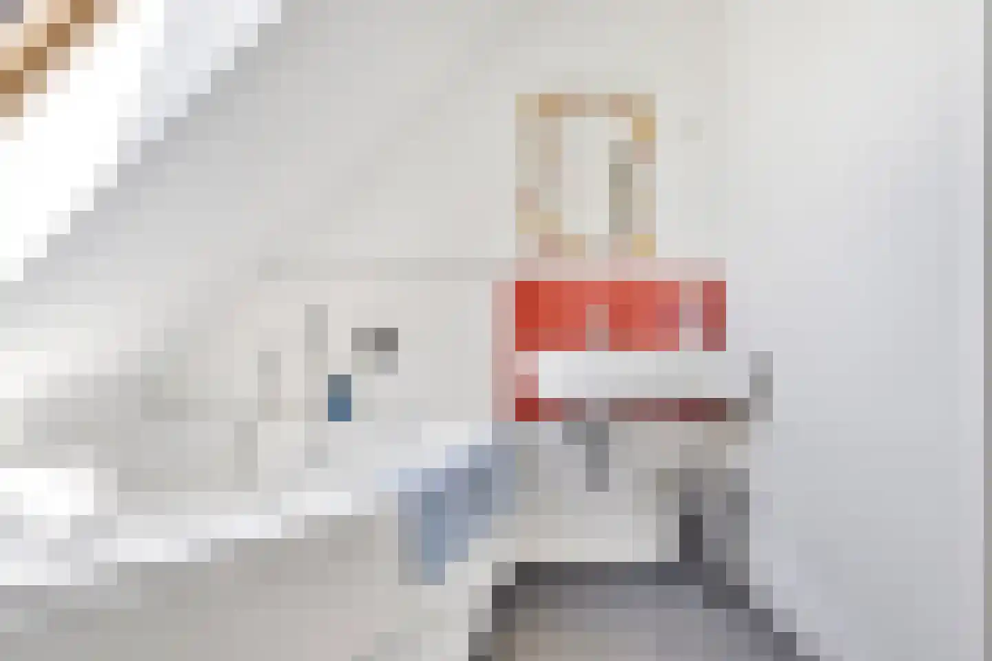 Muggenburgerweg 9 Haringhuizen thumbnail 66