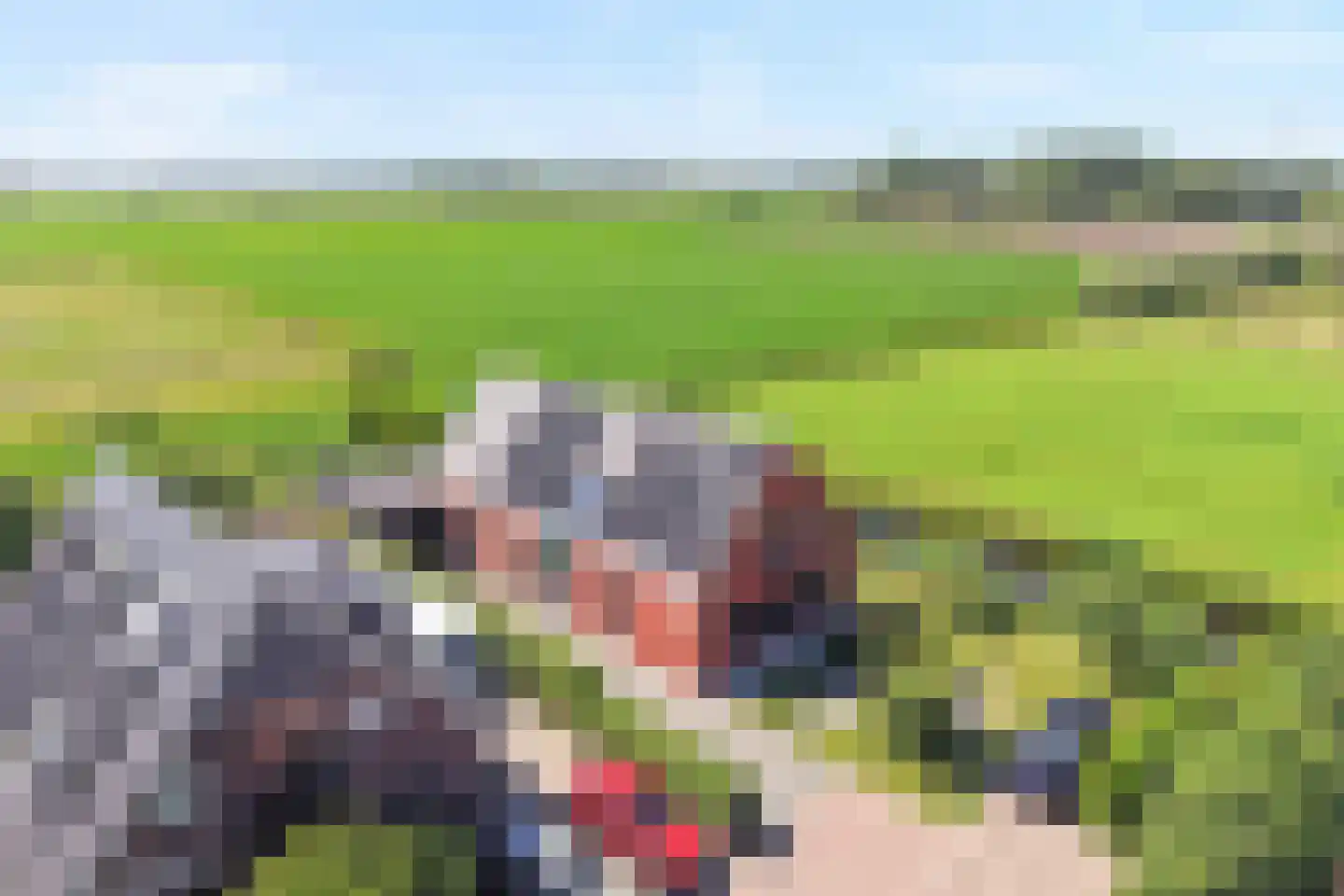 Muggenburgerweg 9 Haringhuizen thumbnail 68