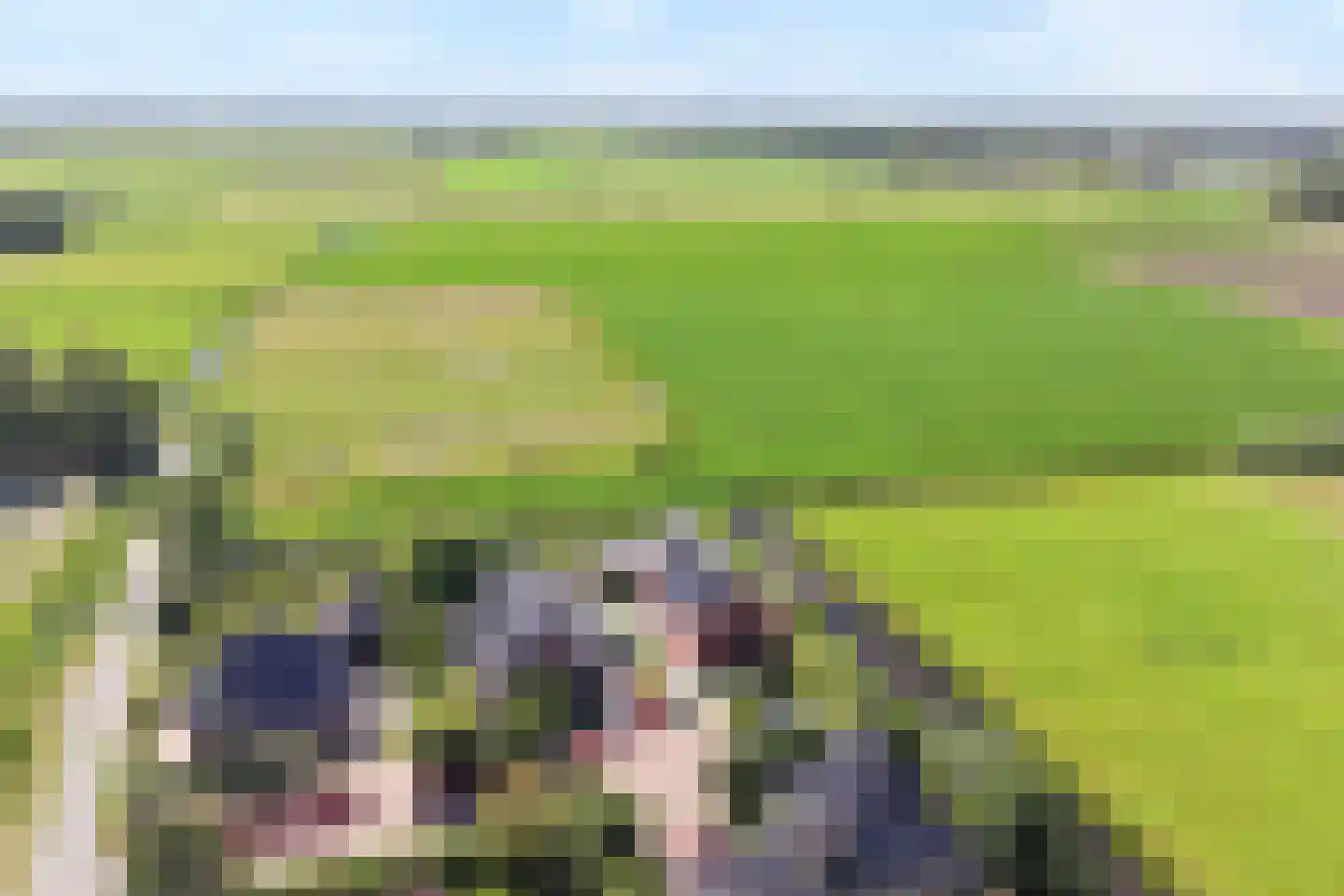 Muggenburgerweg 9 Haringhuizen thumbnail 69