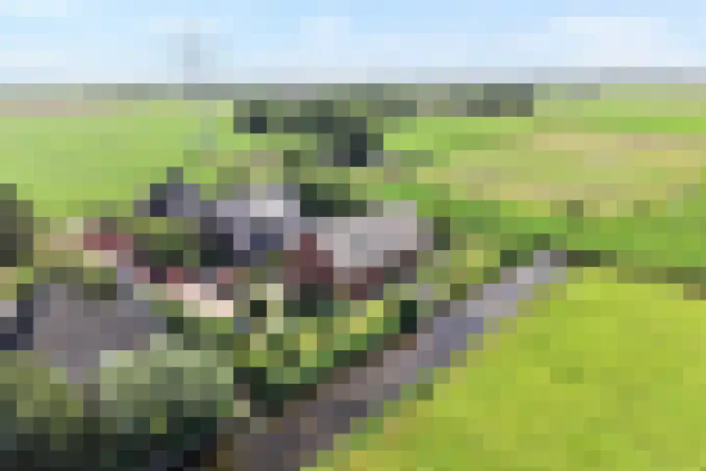 Muggenburgerweg 9 Haringhuizen thumbnail 70