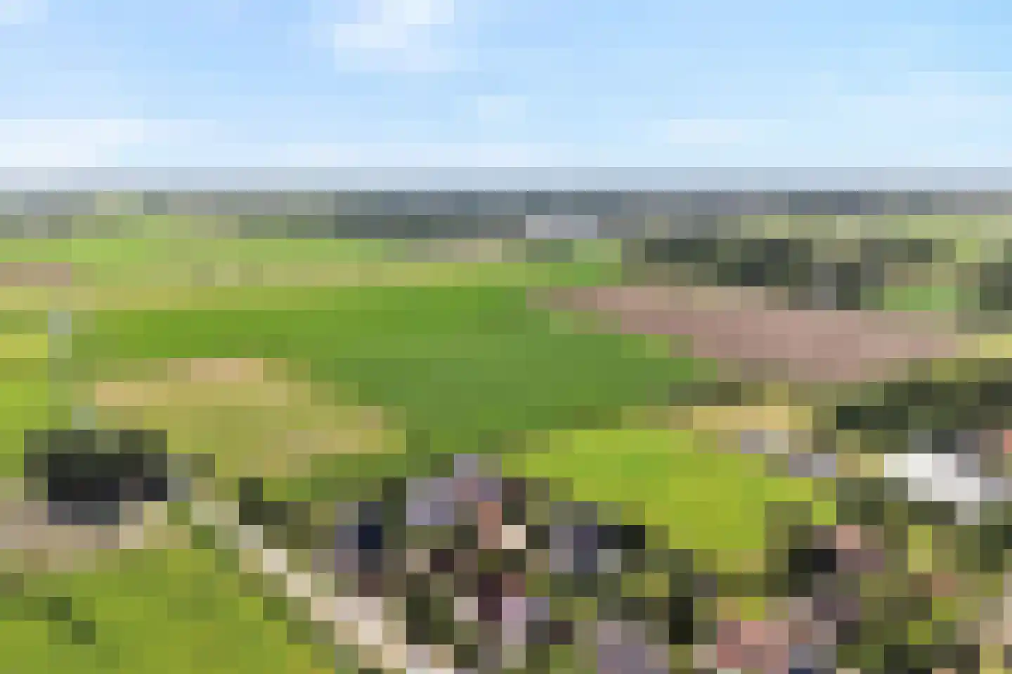 Muggenburgerweg 9 Haringhuizen thumbnail 74