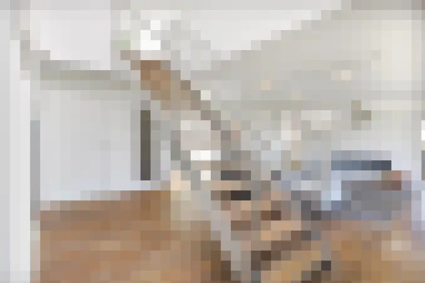 Muggenburgerweg 9 Haringhuizen thumbnail 8