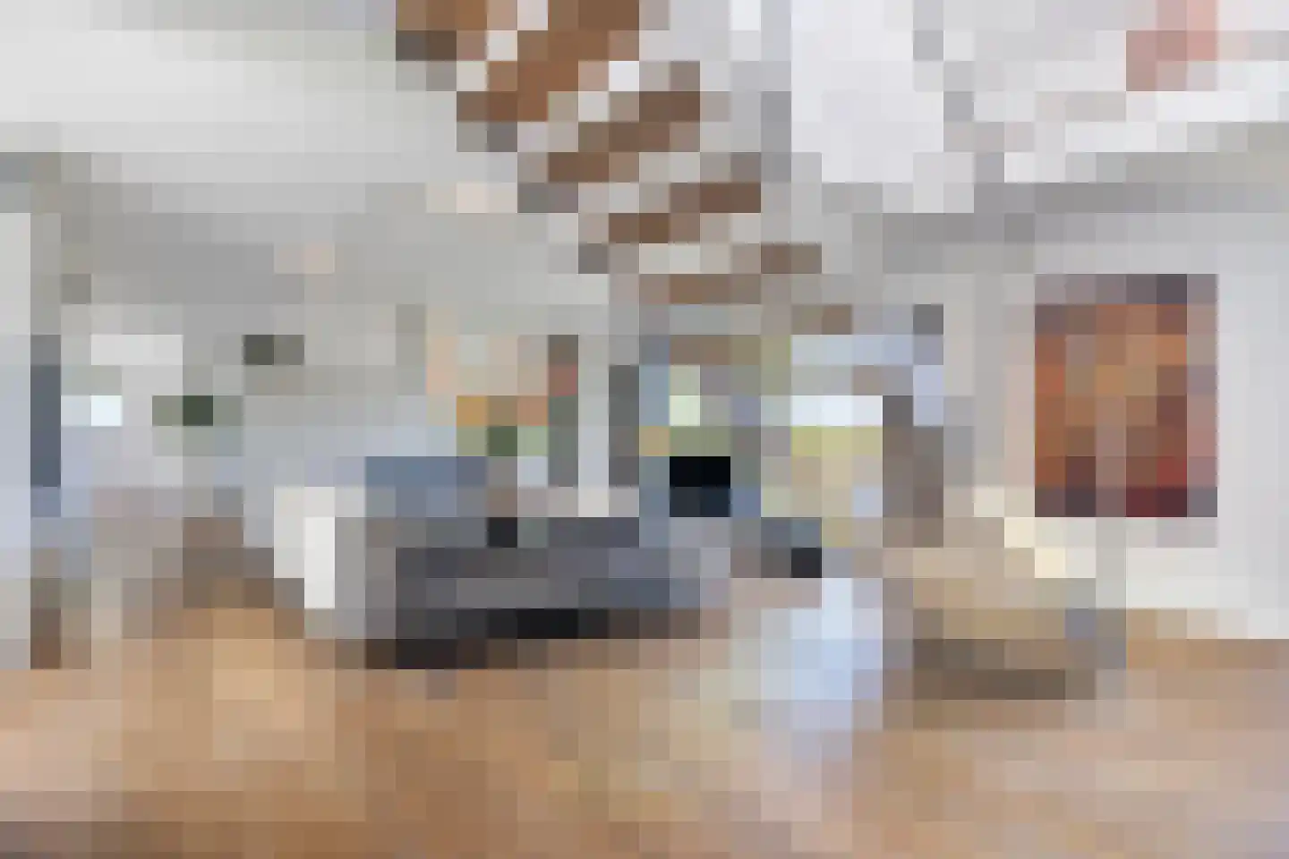 Muggenburgerweg 9 Haringhuizen thumbnail 9