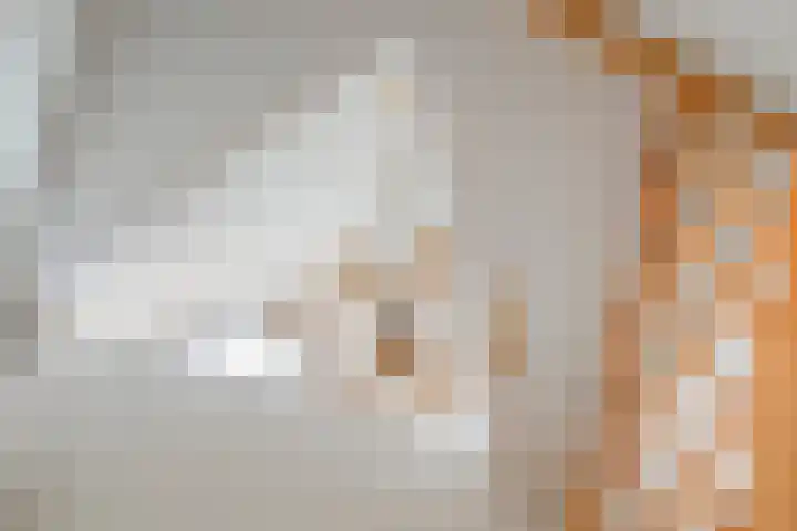Muggenhol 31 Veldhoven thumbnail 12