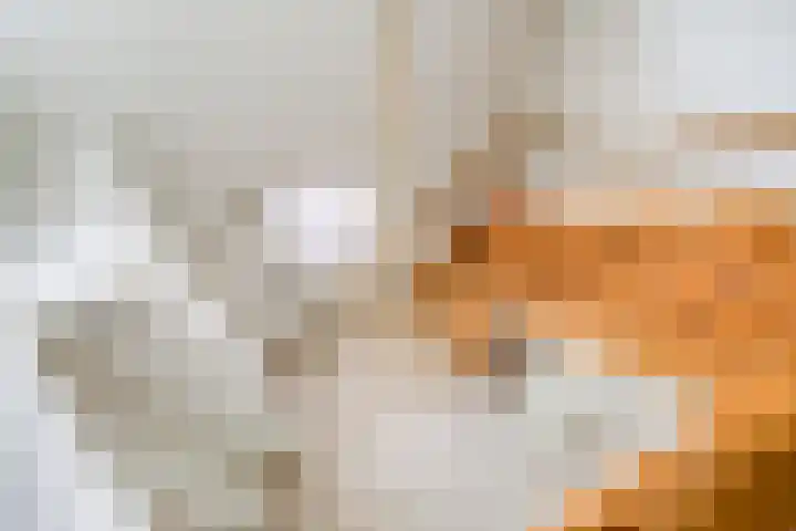 Muggenhol 31 Veldhoven thumbnail 35
