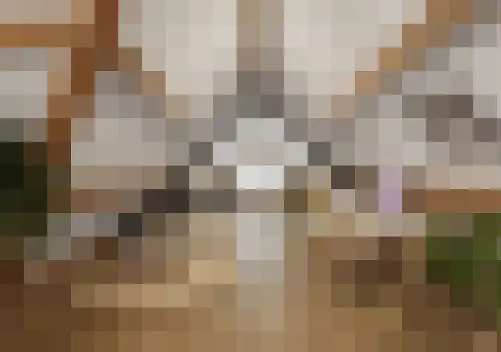 Muggenhol 31 Veldhoven thumbnail 41