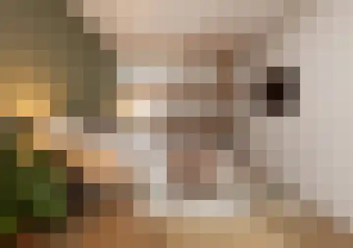 Muggenhol 31 Veldhoven thumbnail 45