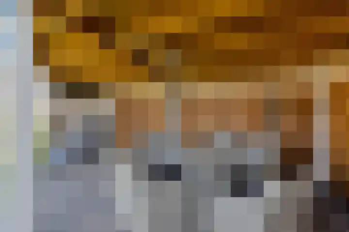 Muggenhol 31 Veldhoven thumbnail 55