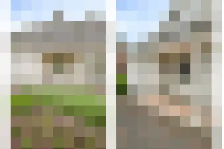 Muggenhol 31 Veldhoven thumbnail 8