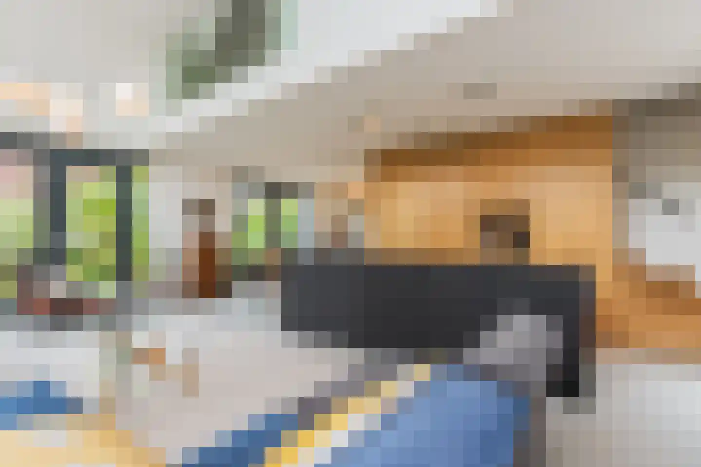 Muggenschans 2 a Sleeuwijk thumbnail 10