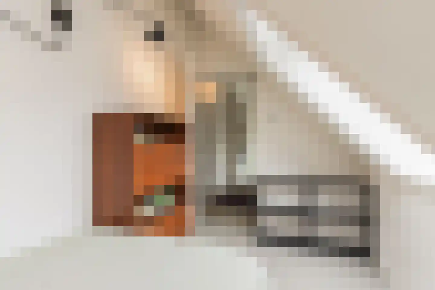 Muggenschans 2 a Sleeuwijk thumbnail 17