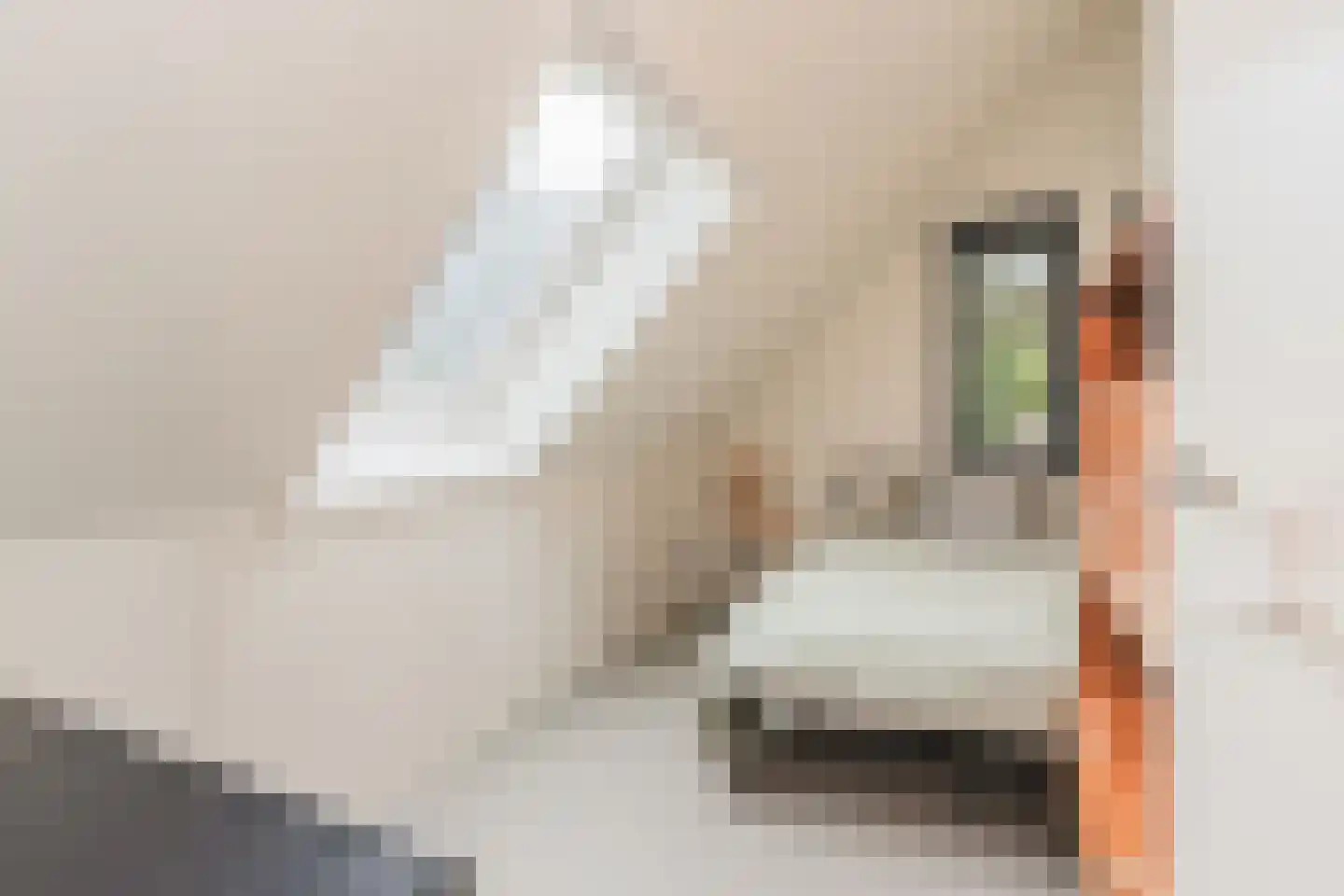 Muggenschans 2 a Sleeuwijk thumbnail 18