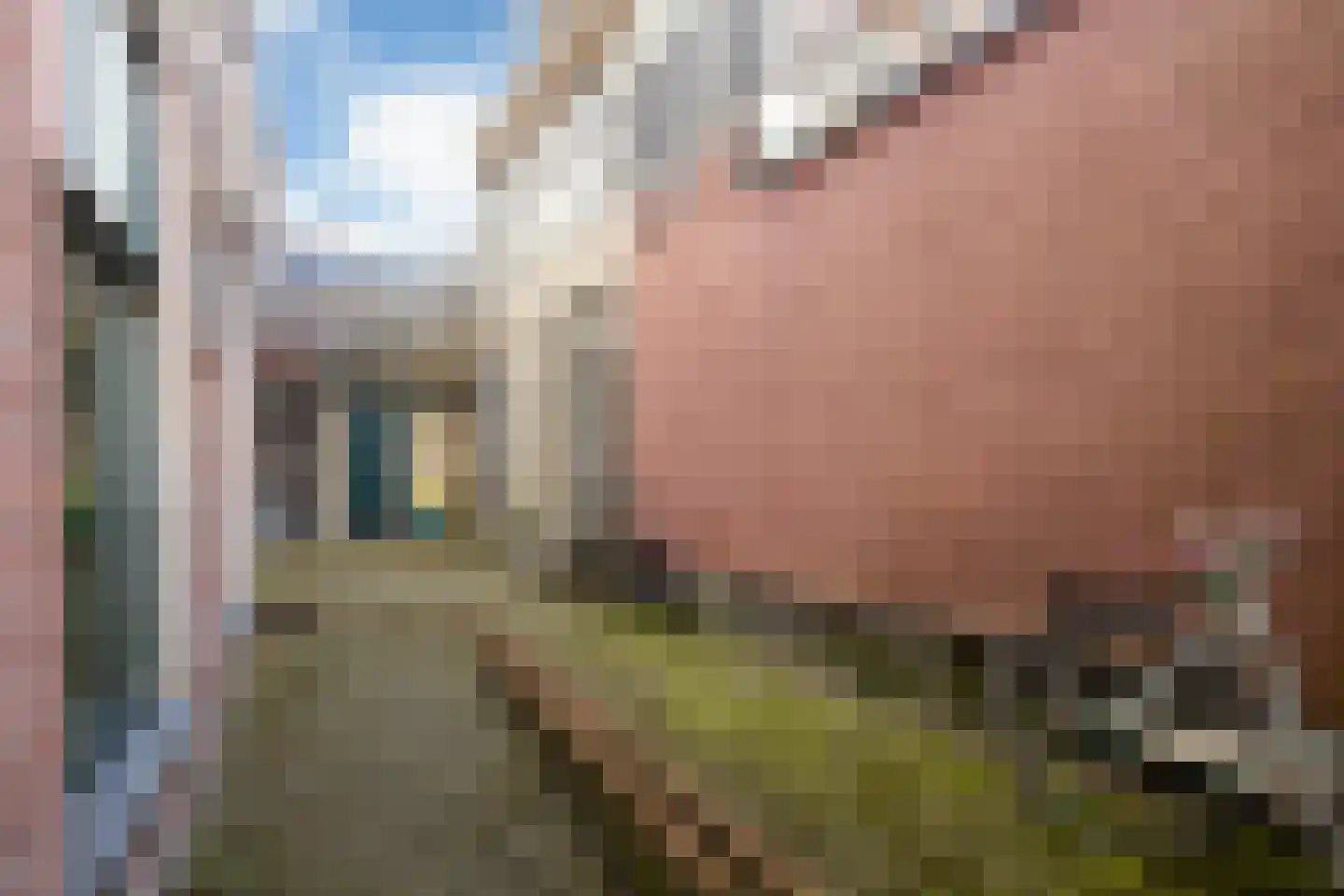 Muggesteeg 1 Leeuwarden thumbnail 29
