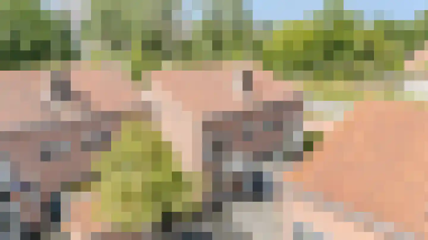 Mui 3 Katwijk thumbnail 8