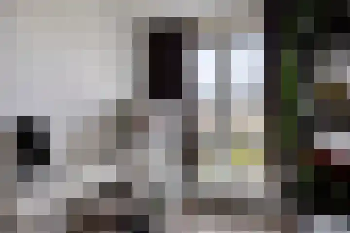Muidenkade 123 Amersfoort thumbnail 18