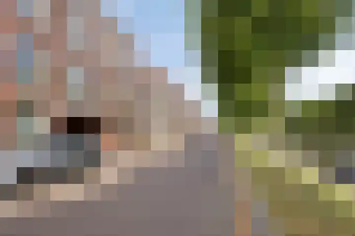 Muidenkade 123 Amersfoort thumbnail 22