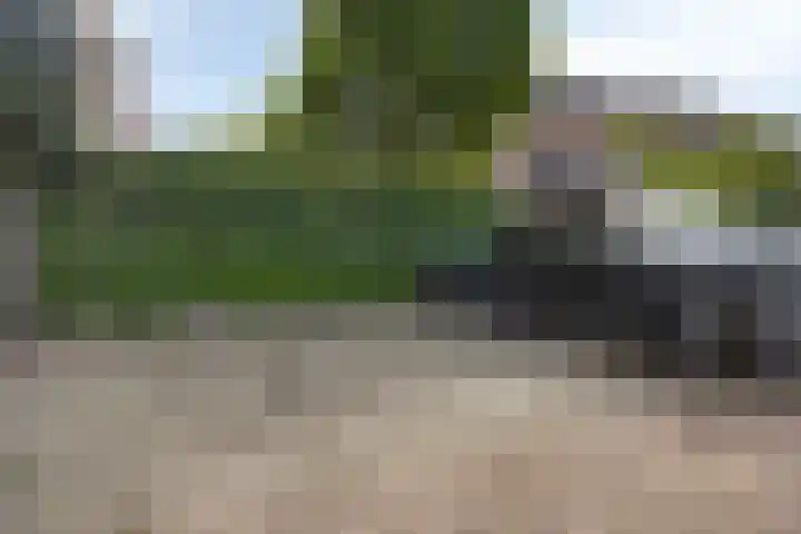 Muidenkade 123 Amersfoort thumbnail 25