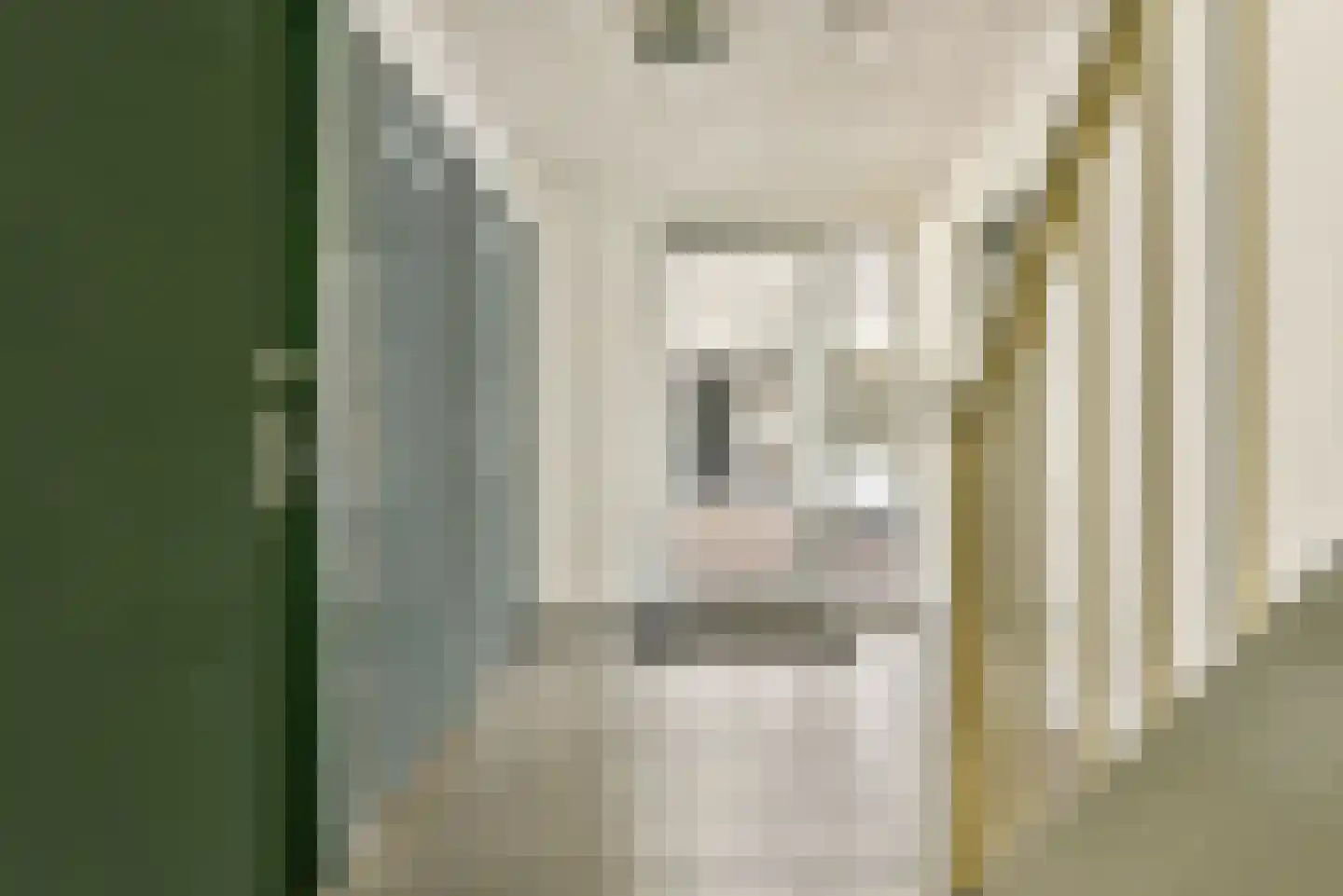 Muidenkade 13 Amersfoort thumbnail 6