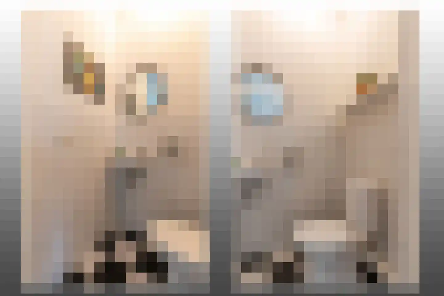Muidenkade 17 Amersfoort thumbnail 21