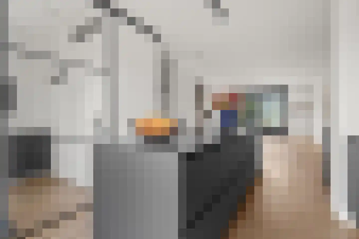 Muidenkade 39 Amersfoort thumbnail 15
