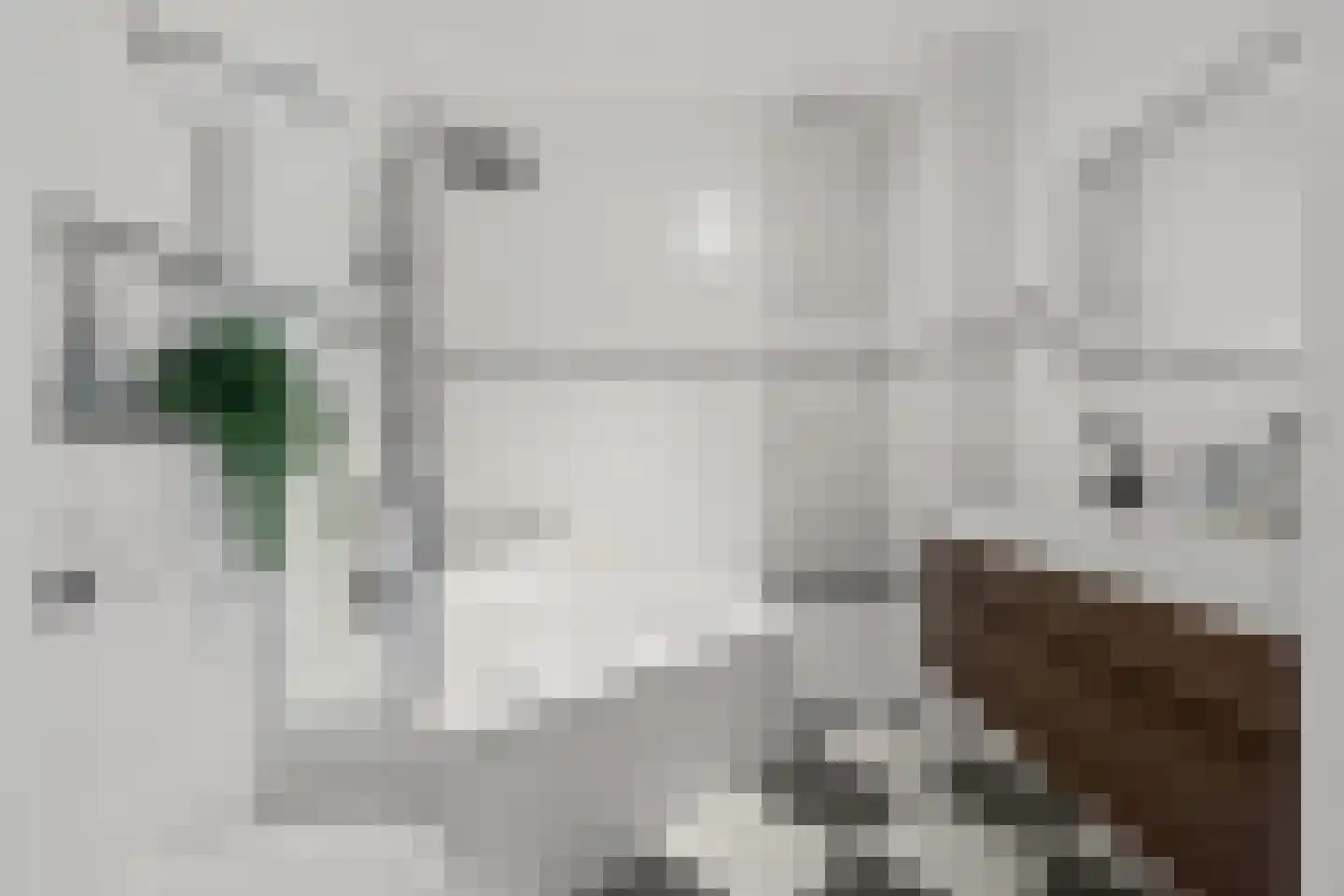 Muidenkade 39 Amersfoort thumbnail 33