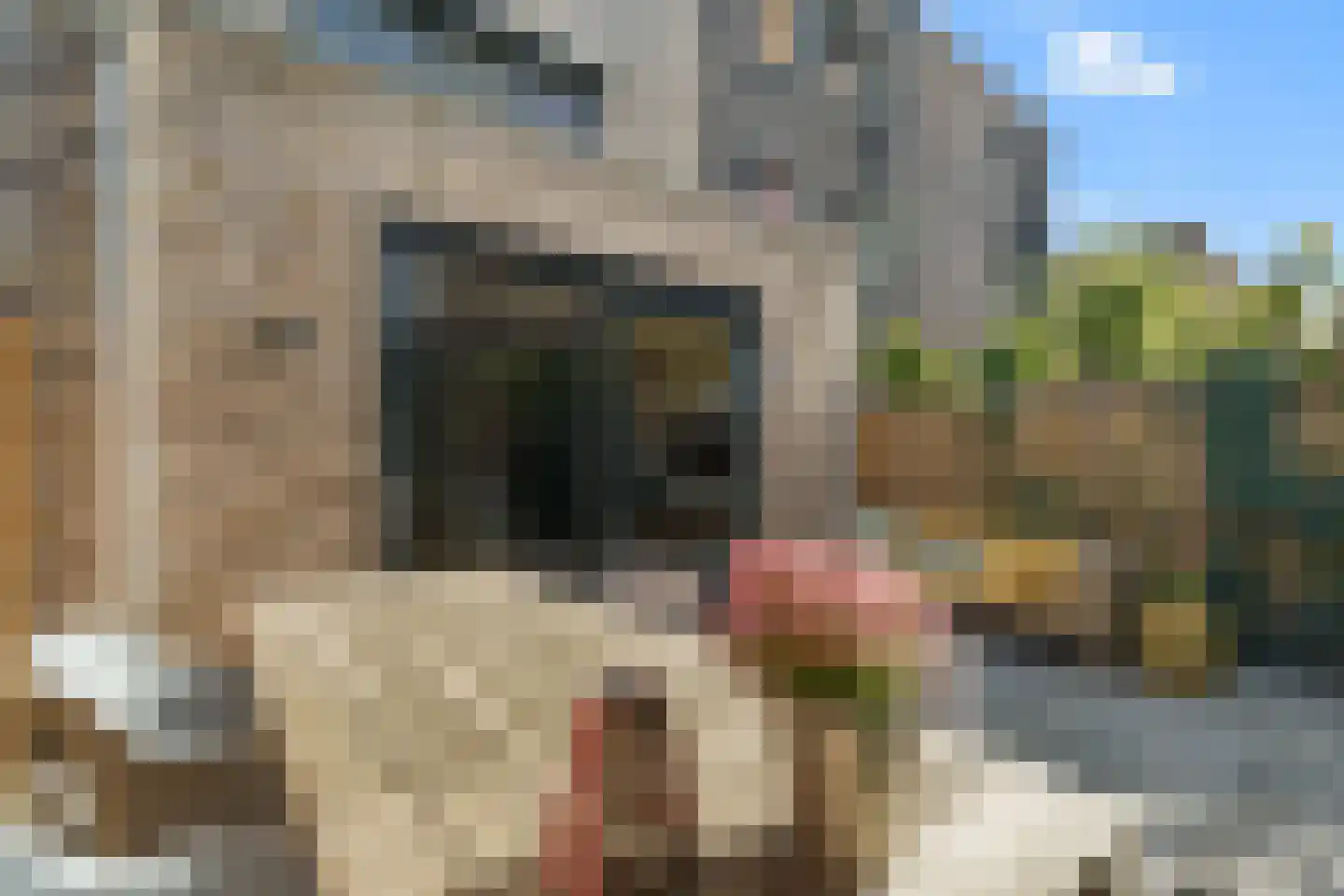Muidenkade 39 Amersfoort thumbnail 55