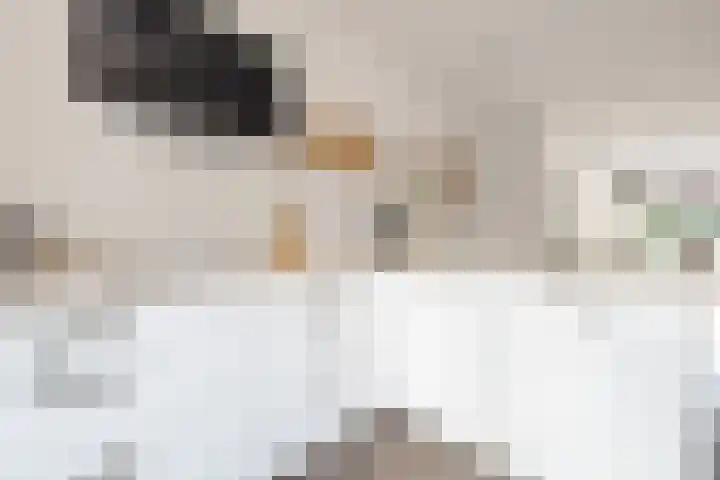 Muidenkade 5 Amersfoort thumbnail 11