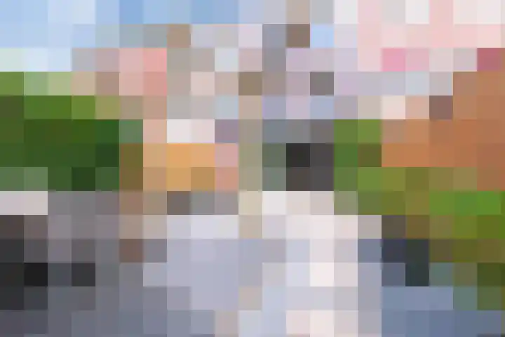 Muidenkade 5 Amersfoort thumbnail 15