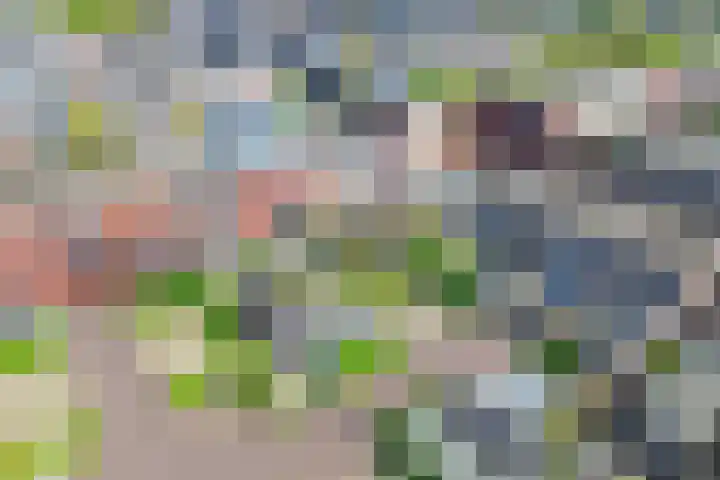 Muidenkade 5 Amersfoort thumbnail 18